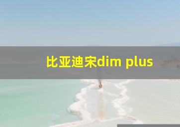 比亚迪宋dim plus